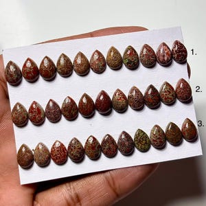Dinosaur Bone Cabochon: 7x10mm Pear Shape Gemstone for Jewelry