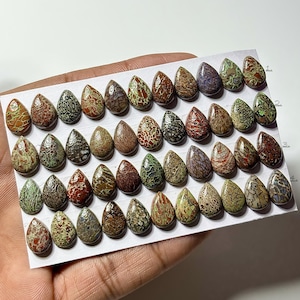 Dinosaur Bone Cabochon: Pear Shape Gemstone for Jewelry Making (8x12mm