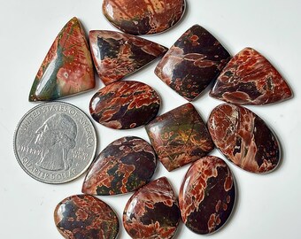 Cherry Creek Jasper Smooth Cabochon : Mixed Shape Loose Gemstone for Jewelry Making (Size 19mm-28mm)