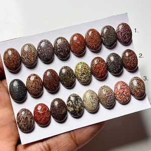 Dinosaur Bone Cabochon: 10x14mm Oval Gemstone for Jewelry Making