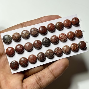 Dinosaur Bone Cabochon: 10x10mm Round Gemstone for Jewelry