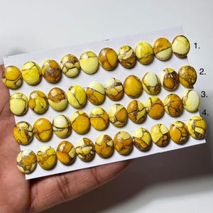 Kingman Yellow Dahlia Turquoise Cabochon: 10x12mm Oval Gemstone