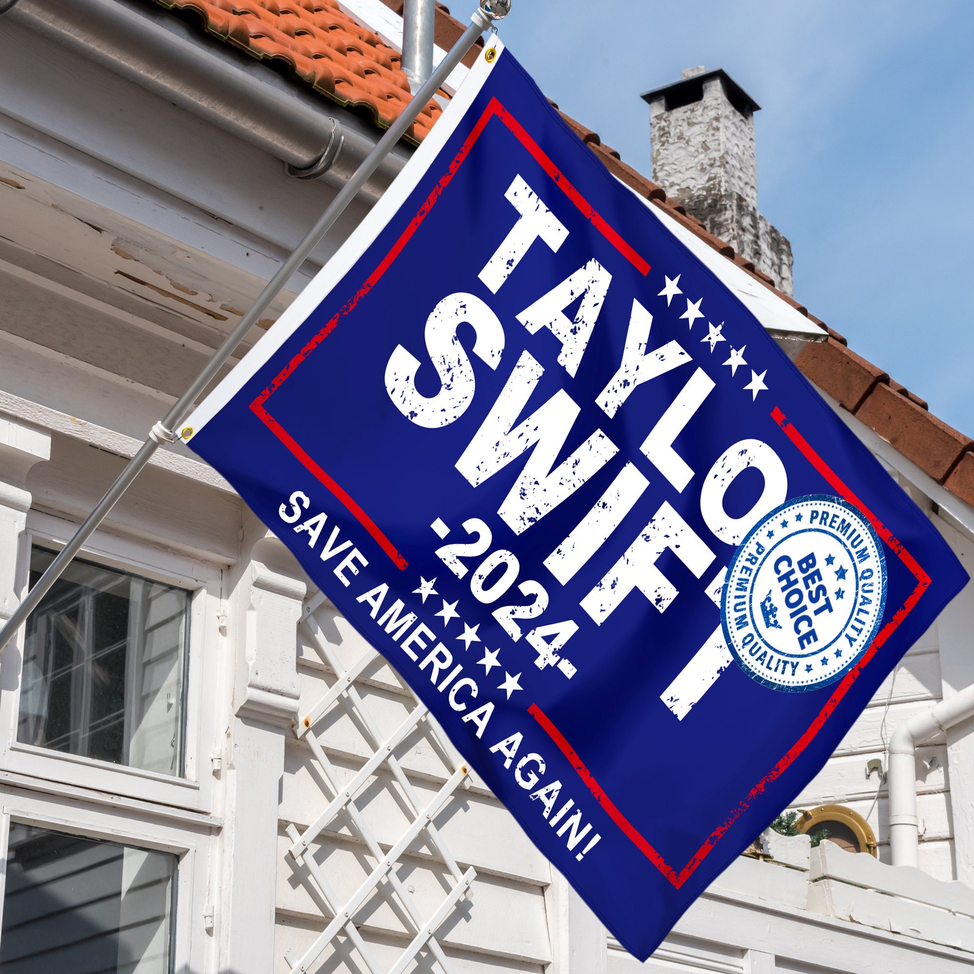 Taylo 2024 Flag 3x5ft Blue / Pink Musician Flags Swif Wall Etsy Canada