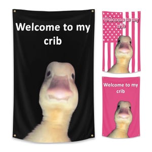 Welcome to My Crib Flag 2x3 ft, Custom Background Funny Wall Flag for Room & Dorm Decor