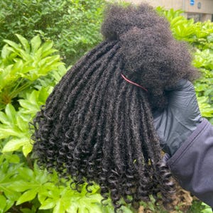 May include: A bundle of dark brown, curly dreadlocks held together with a red band. The dreadlocks are tightly coiled and have a natural, textured appearance. The background features lush green foliage.