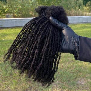 70 Locs Coil Tips Anwi Textured Interlocked Human Hair Loc Extensions in sizes 0.4cm, 0.6cm and 0.8cm | Curly Ends DreadLocks