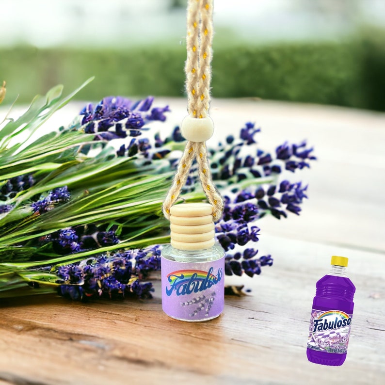 Fabuloso Inspired Beautiful Car Diffuser Air Freshener ' Cute Car