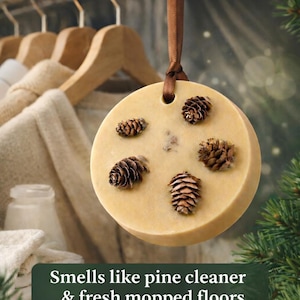 May include: A round, light-yellow soy wax closet freshener with embedded pinecones, hanging from a brown ribbon. The text reads "SOY WAX CLOSET FRESHENER" and "Smells like pine cleaner & fresh mopped floors."