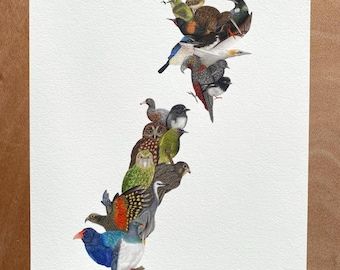 New Zealand Bird Pencil Art Print
