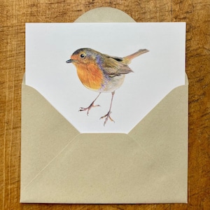Grußkarte "Rotkehlchen", handgezeichnet, Glückwunschkarte, Tierportrait, Kunstpostkarte