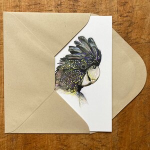 Grußkarte "Schwarzer Kakadu", handgezeichnet, Glückwunschkarte, Tierportrait, Kunstpostkarte