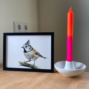 Kunstdruck "Haubenmeise", handgezeichnet, Tierportrait, Art Print