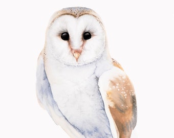 Barn owl Art Print, watercolor painting, limited edition