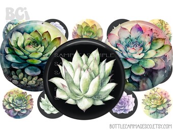 Succulent Cactus Images - 1 Inch Bottle Cap Images - Floral BCI - Flower Digital BottleCap Images - 25mm cabochons - Watercolor Images BCI