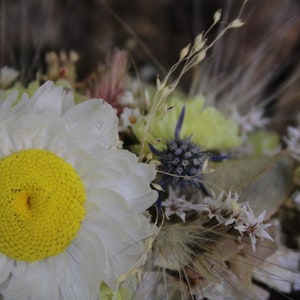A close up of the main white and yellow flower on the comb.
