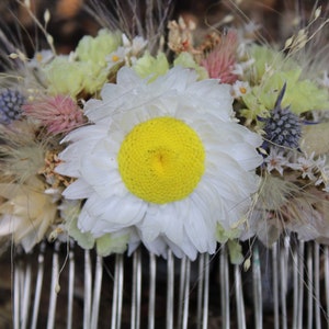 The main flower of the Acroclinium flower and the bunny tail grasses that fan out from the center are in more detail in this photo.