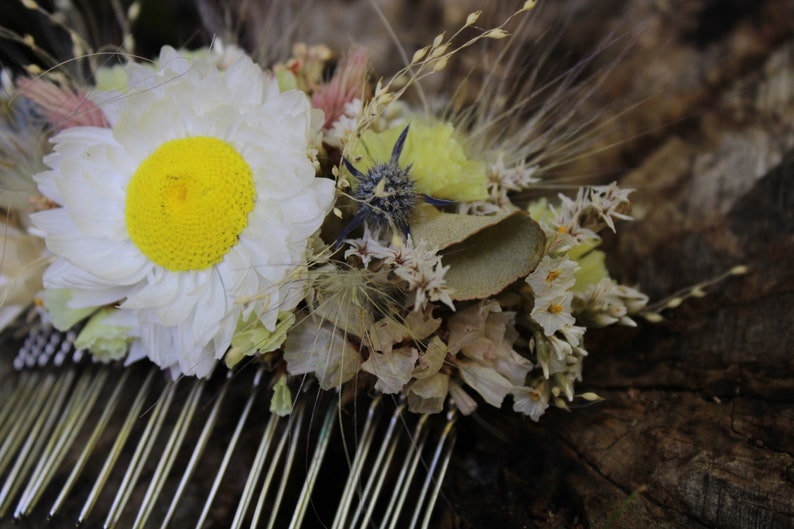 In this shot the details of the dried flowers on the right hand side of the comb are in more detail. On show is the eucalyptus leaf and blue thistle and the yellow center of the perennial statice.