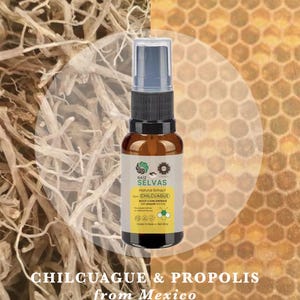 Puede incluir: Un frasco rociador de vidrio marrón con una tapa negra y una parte superior de plástico transparente. La etiqueta dice "Raiz Selvas Natural Extract from Chilcuague Root Concentrate". El fondo presenta un patrón de panal y raíces secas. El texto en la parte inferior dice "Chilcuague & Propolis from Mexico".