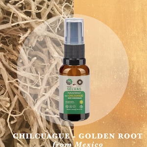 Puede incluir: Botella de spray de vidrio marrón con tapa negra y etiqueta blanca. La etiqueta dice "RAIZ SELVAS Natural Extract from CHILCUAGUE ROOT CONCENTRATE". El fondo presenta raíces secas y un degradado dorado. Texto: "CHILCUAGUE - GOLDEN ROOT from Mexico".