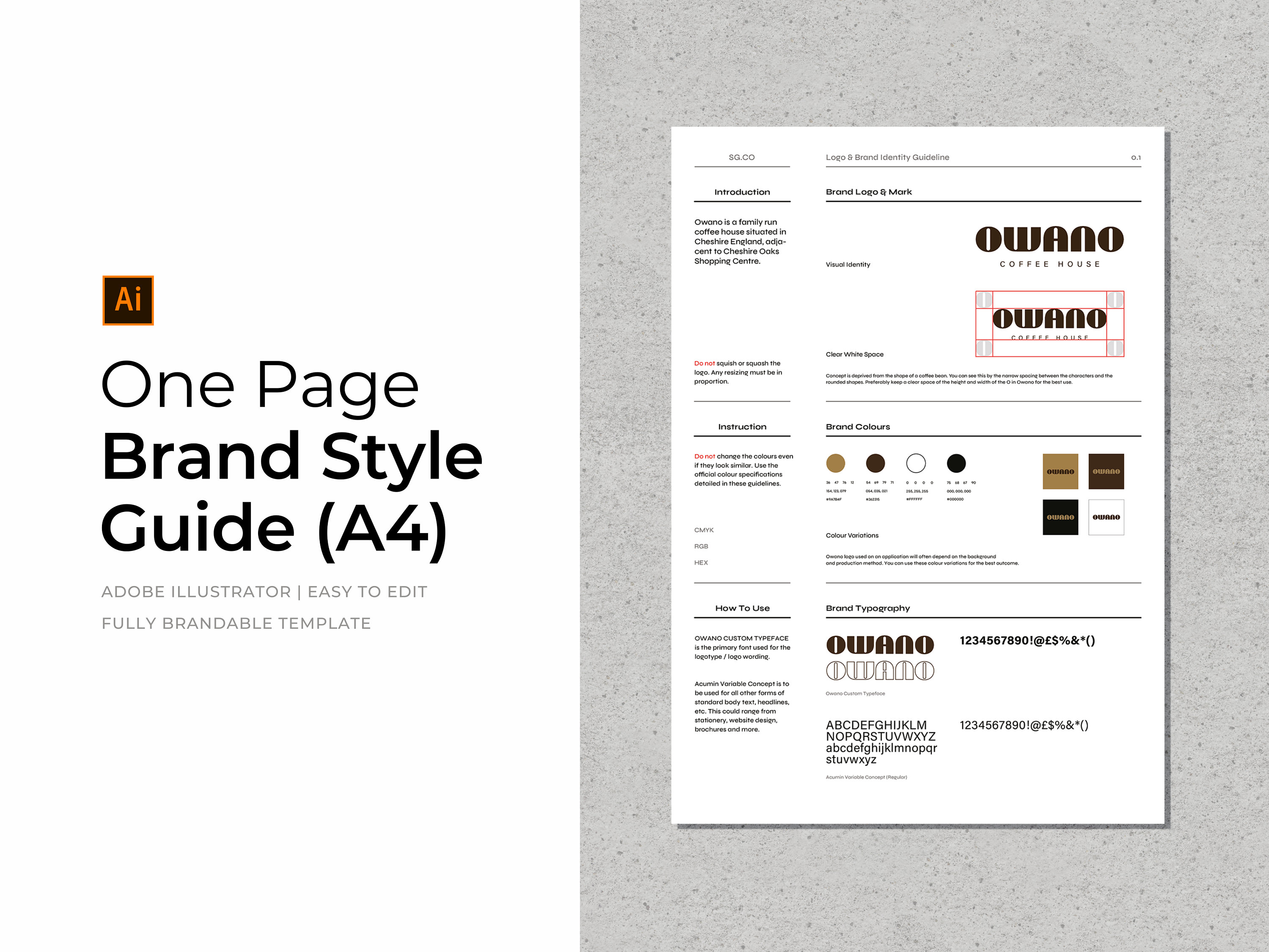 Brand Style Guide Template Adobe Illustrator Brand Direction