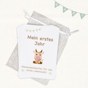 Meilensteinkarten Baby | Bauernhof | 12 Monatskarten | Karten zur Geburt | Baby | Geschenk zur Geburt | Junge | Mädchen | Geschenk Baby