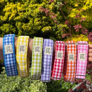 May include: Eight colorful gingham dog collars with silver hardware. Each collar has a white label with the text "Ro& Tails".