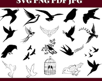 Whimsical Bird SVG Bundle, Cricut (png, pdf, jpg) (Digital Download)