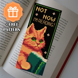 May include: Cross-stitch pattern of a red cat reading a book with the text "Hot Now I'm Reading!" on a black background. The pattern is framed by a green border.
