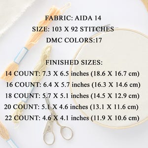 May include: Aida 14 fabric with 103 by 92 stitches, using 17 DMC colors. Finished sizes are listed for 14, 16, 18, 20, and 22 count fabric in inches and centimeters.