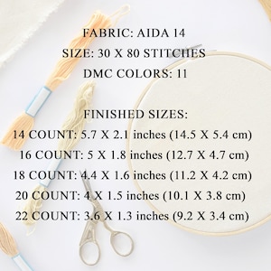14 count: 5.7 x 2.1 inches (14.5 x 5.4 cm)