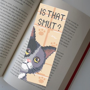 Puede incluir: Un gato gris y negro asomándose desde detrás de un fondo beige y naranja. El texto "IS THAT SMUT?" está escrito en letras negras sobre el fondo.