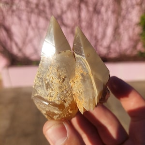 Raro cristal de calcita de haz estelar gemelo dorado con fantasma de pirita e inclusiones, calcita de diente de perro, escalenoédrico de Rio Maior, Portugal