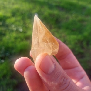 Raro cristal de calcita de haz estelar dorado con fantasma de pirita, calidad de gema, calcita de diente de perro, escalenoédrico de Rio Maior, Portugal