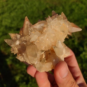 Raro cúmulo de cristales de calcita de haz estelar dorado con inclusiones de pirita, calidad A++, calcita de diente de perro, de Rio Maior, Portugal