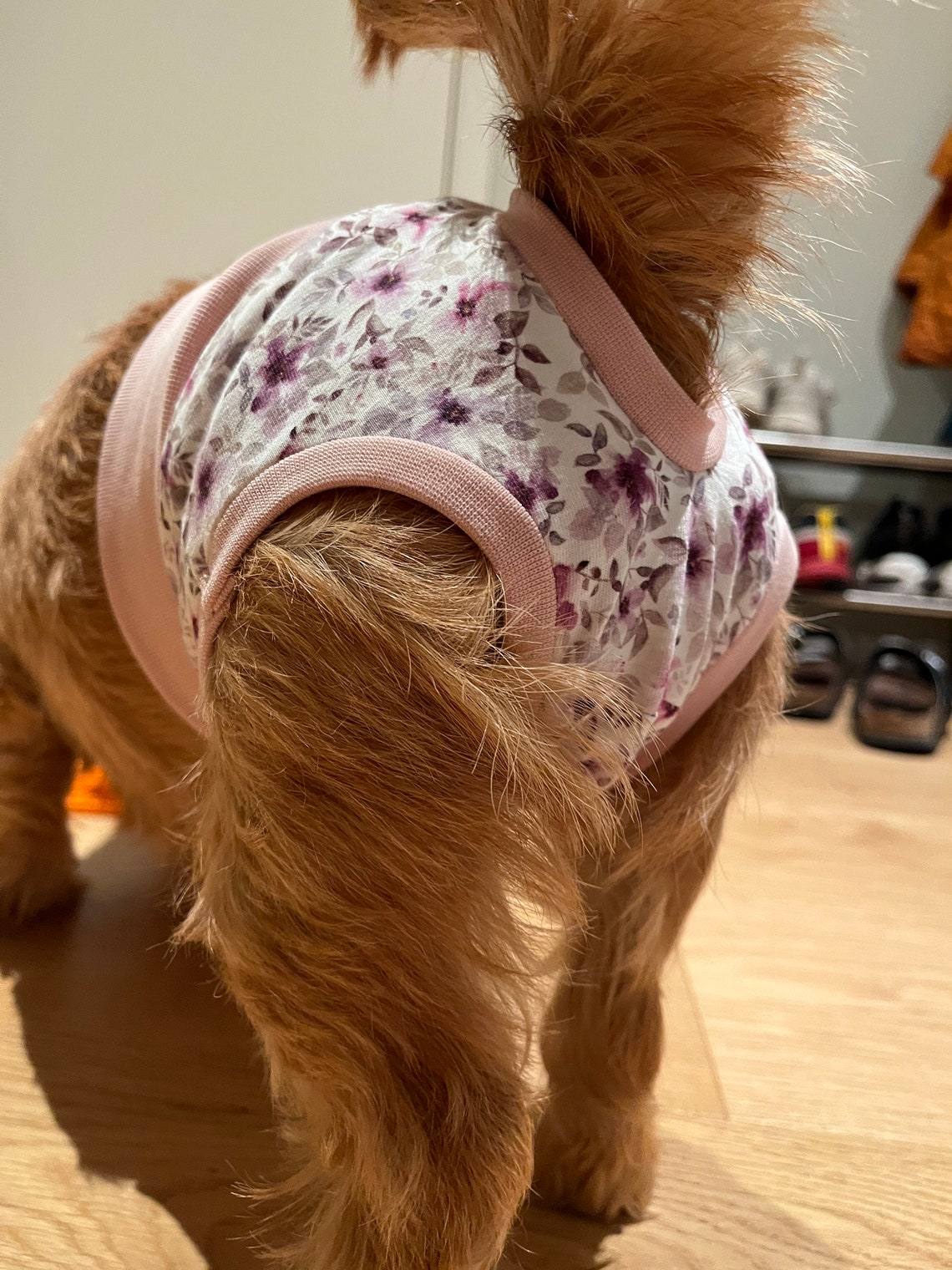 Dog Panties Sewing Pattern Etsy