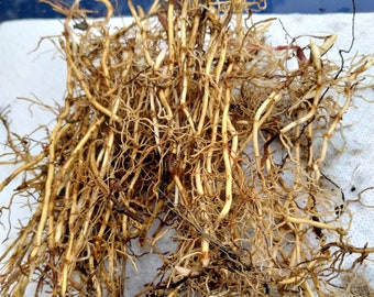 Pepitas de Lirio de los Valles a Raíz Desnuda (10+); Flor de Nacimiento del Mes de Mayo