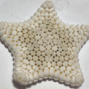 May include: A close-up of a white starfish with a five-point design. The starfish has a textured surface composed of small, rounded, and irregular shapes. The edges of the starfish are lined with larger, more rounded shapes.