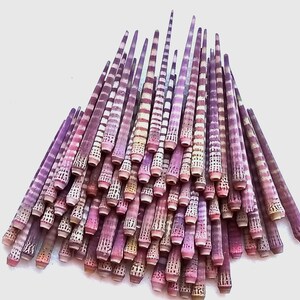 Può includere: Una collezione di aculei di riccio di mare nei toni del viola, rosa e bianco. Gli aculei sono lunghi e cilindrici, con motivi a righe e puntini. Le punte sono di un colore più chiaro, creando un effetto sfumato. Gli aculei sono disposti in un mucchio.