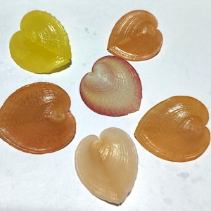 Op de afbeelding: Een verzameling van zes hartvormige, doorschijnende objecten met geribbelde texturen. De set bevat een felgeel, een roodachtig roze, een bleek crèmekleurig en drie barnsteenkleurige stukken, elk met een duidelijke centrale ader en radiale lijnen.