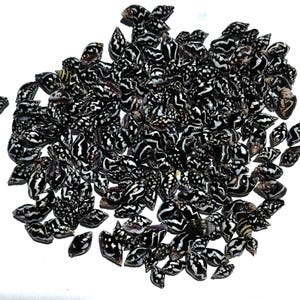 May include: A large collection of small, glossy sea shells, each featuring a distinct pattern of bold, irregular black and white stripes and markings. The shells are scattered in a dense cluster, showcasing a variety of shapes and sizes.