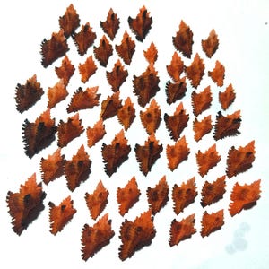 May include: A collection of numerous small, orange and brown sea shells arranged in a scattered pattern. Each shell features a distinct, spiky, elongated shape with a textured surface, showcasing a gradient of vibrant orange to dark brown tips.