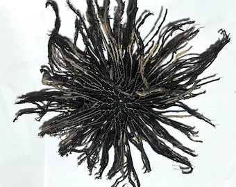 ウミユリの茎化石、8オンス～3ポンド（まとめ買い） - 米国送料無料