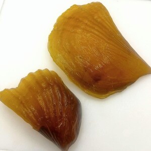 Sea shell pinnidae..streptopinna saccata. 2 Pc yellow color..size 80-118 mm...very nice item
