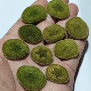May include: A collection of nine small, round, olive-green objects with a fuzzy, textured surface. Each piece features a distinct, darker green five-pointed star pattern embossed in the center, resembling the shape of a sea urchin test.