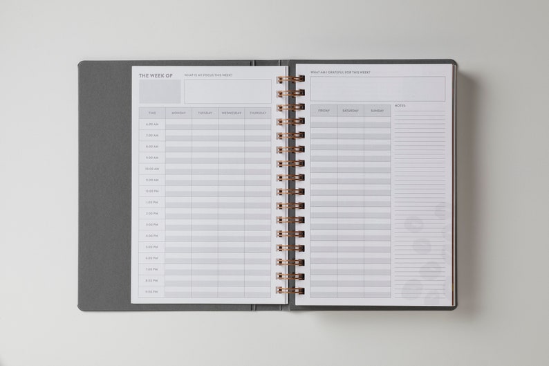 Renew Planner for Recovery image 9