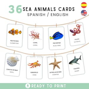 以下が含まれることがあります： スペイン語と英語の36枚の海の動物カードのセット。カードには、クマノミ、サンゴ、ナンヨウハギ、タコ、貝殻、カニ、ヒトデ、サメなど、さまざまな海の生き物のイラストが描かれています。印刷準備完了。