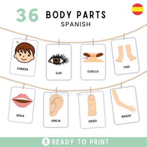 BODY PARTS SPANISH flashcards, Montessori Spanish flashcards, Pre-School flashcards, Spanish Educational Printable Cards, Instant Download