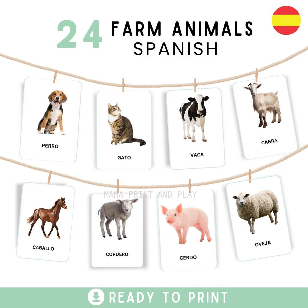 FARM ANIMALS SPANISH, 24 Spanish and 24 English Montessori Cards, Flash ...
