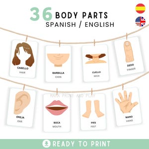 BODY PARTS BILINGUAL flashcards, Spanish and English flashcards, Pre-School flashcards, Educational Printable Cards, Instant Download