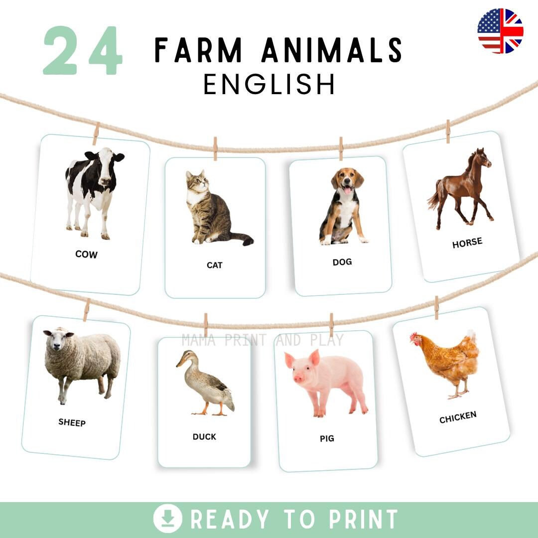 FARM ANIMALS • 24 Montessori Cards • Flashcards PDF Printable Cards ...